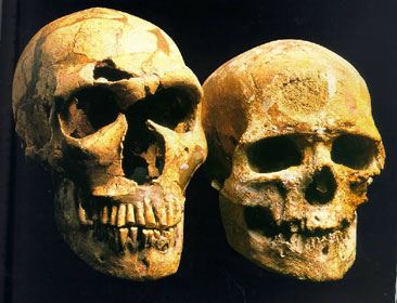 Neandertal and modern human
