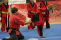 Martial arts 2181.jpg