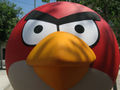 Angry birds 3859.jpg